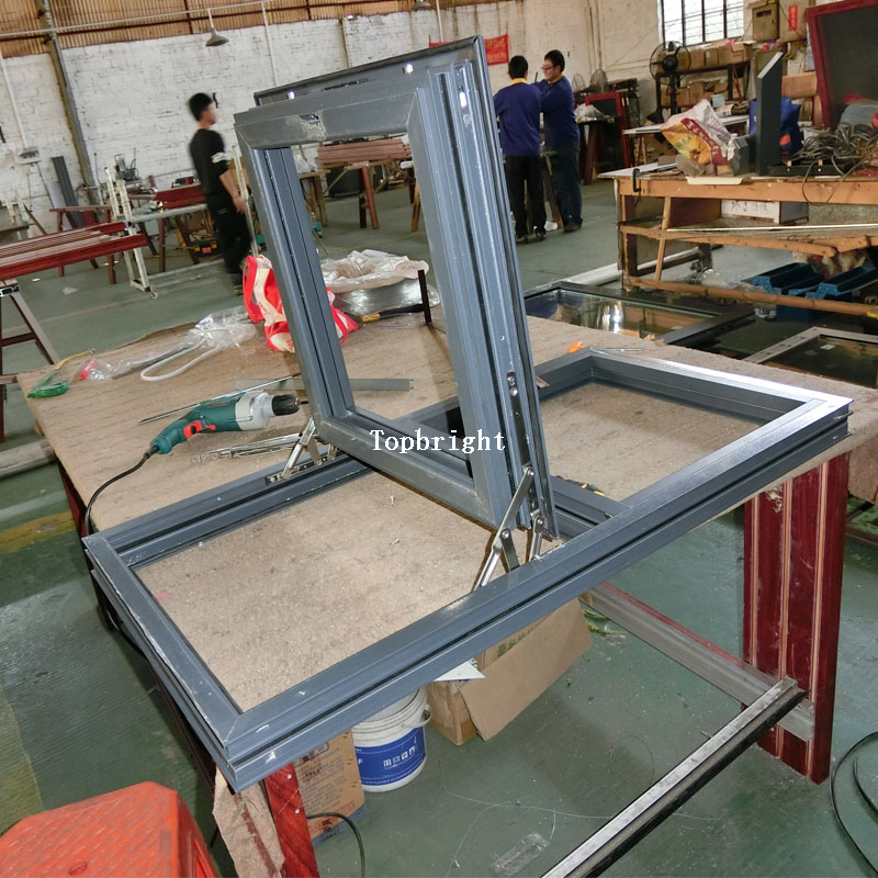 Fenêtre à guillotine personnalisée pour projet de construction commerciale résidentielle TP-W-TH014